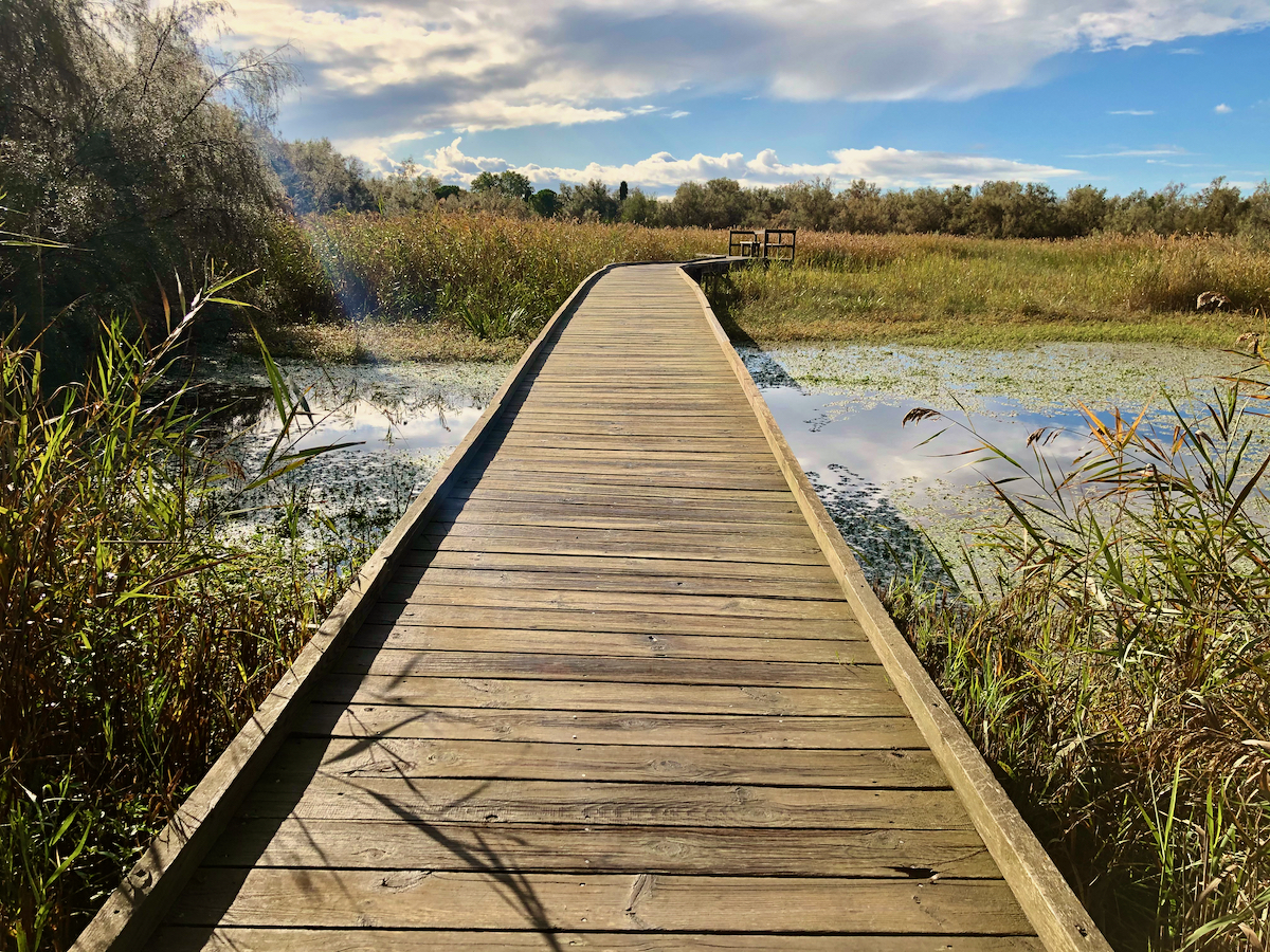 Passerelle sur l'étang du Scaphandre en Petite Camargue