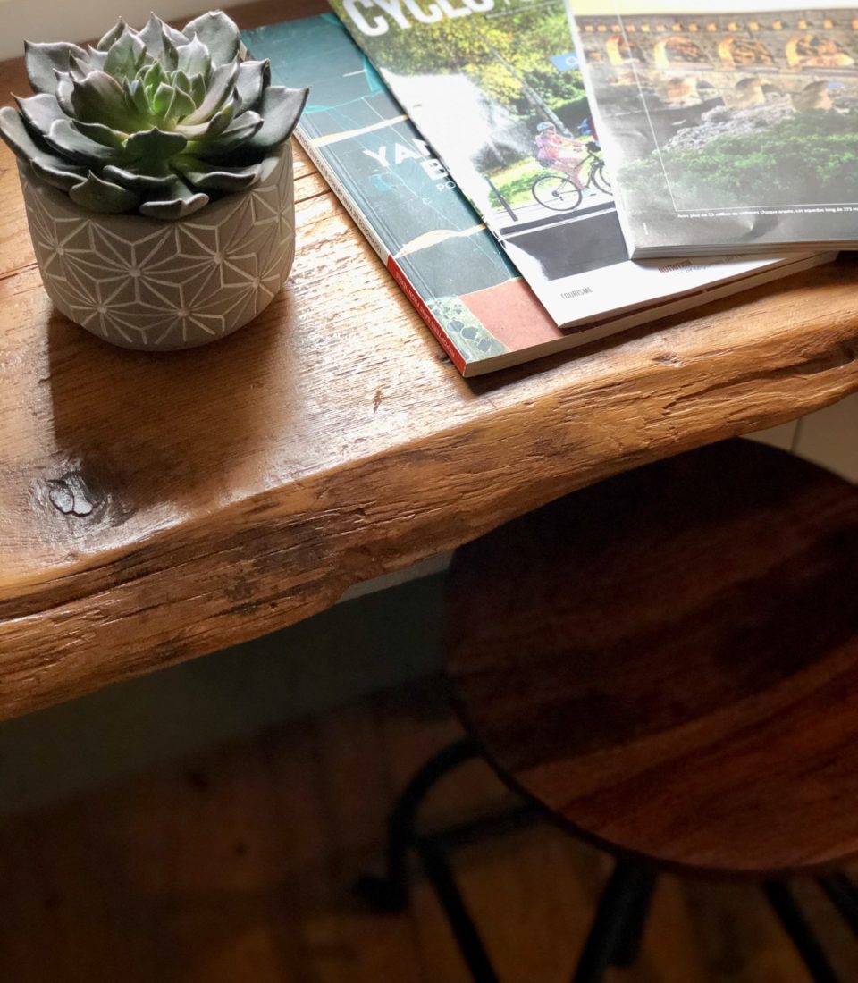 Magazine and succulent in the Capitelle guest room